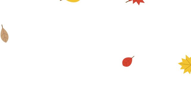Vibrant autumn leaves in red yellow and orange shades falling down against a clean white background in a smooth looping animation. Ideal for seasonal video intros and autumn sales.
