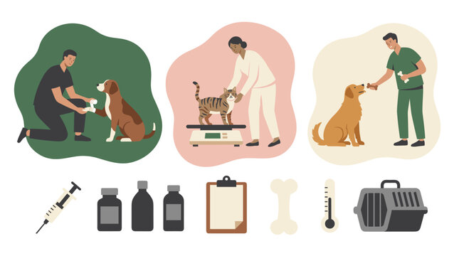 Three veterinarian scenes: vet bandaging dog's paw and weighing cat