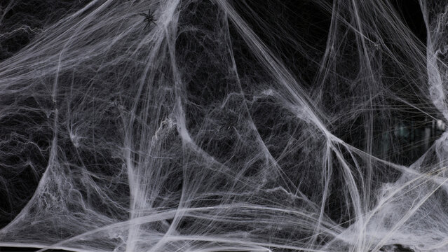 Spooky spider web cobweb overlay texture on dark background