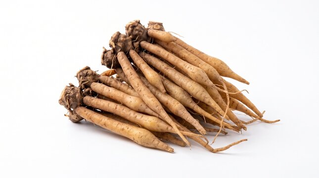 Bunch of fresh krachai fingerroot isolated on white