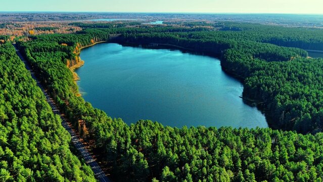 Aerial view of vibrant green pine forest surrounding a serene blue lake during autumn daylight