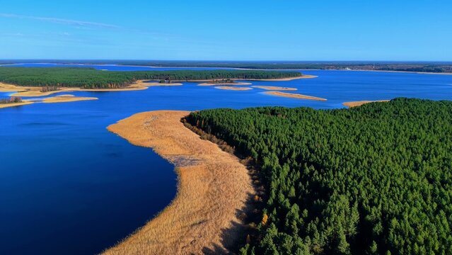 Aerial footage showcasing a winding river surrounded by lush green forests and golden reeds