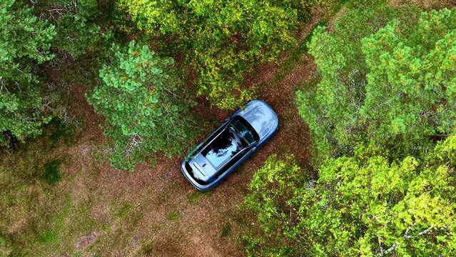 Aerial view of a parked car amidst lush green trees and foliage in a forested area