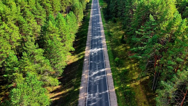 Aerial road stretching through dense green forest under bright blue sky on clear day