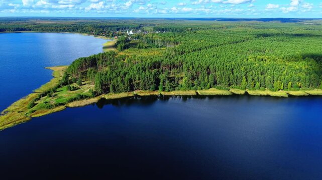 Aerial view of the confluence between a lush forest and a peaceful lake under a bright sky