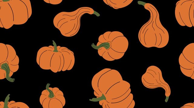 Festive autumn pattern of cute orange pumpkins and gourds scrolling diagonally on a black background. Looping animation perfect for Halloween, Thanksgiving, or fall backgrounds.