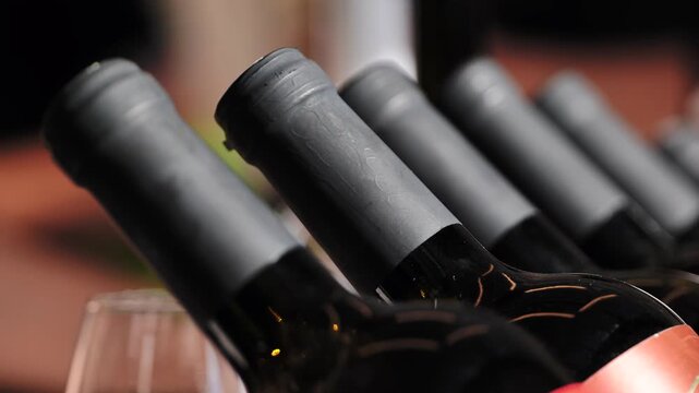 Red wine bottles arranged in a row, showcasing elegance and quality