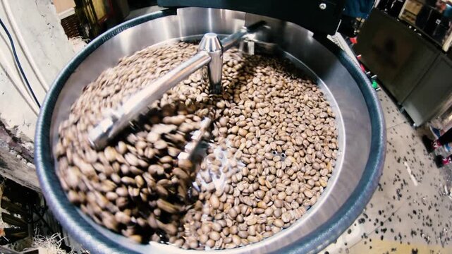 Fresh roasted coffee beans spinning and mixing in a cooling tray in a modern artisanal roastery