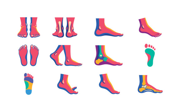 Bare Foot Pose Set, bright flat vector icon set featuring front-view feet, back-view heels, side foot, relaxed foot, standing feet, walking step, ankle, footprint, covering human foot anatomy,