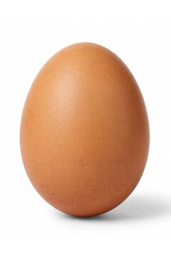 brown egg isolated on white background