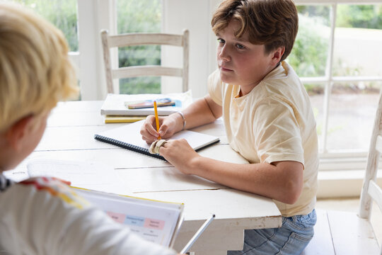 pre teen and early teen boy doing homework together in light filled room