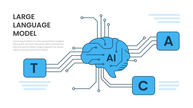 large language model infographic template with ai brain circuit line three point letter box layout, flat style