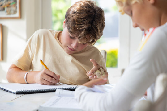 pre teen and early teen boy doing homework together in light filled room