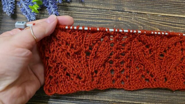 The process of knitting a multicolored openwork yoke for a jumper or cardigan. The raised pattern is on circular needles, and the work is placed on a dark wooden table.