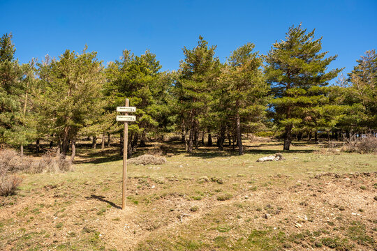 Hiking Trail Signs Pointing to Malacate, Minas de la Cruz and Puerto de las Palomas Refuge, Sierra de Baza, Spain