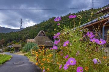 美山町 茅葺屋根の古民家 © miiko