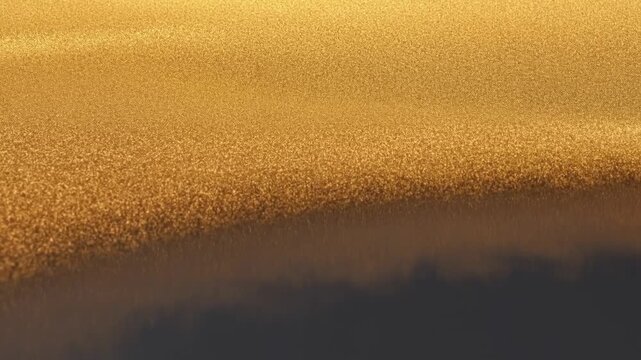 Dense golden cloud of tiny particles glowing in sunlight above dark shadowed ground