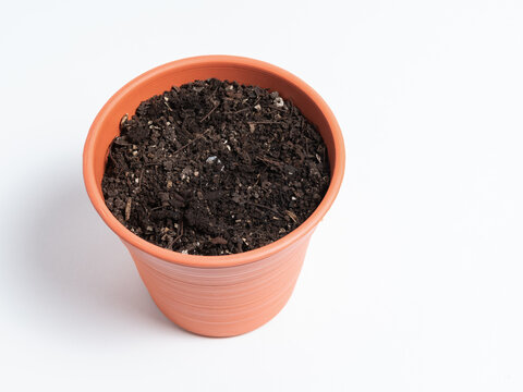 Terracotta Flower Pot Filled with Dark Potting Soil for Gardening