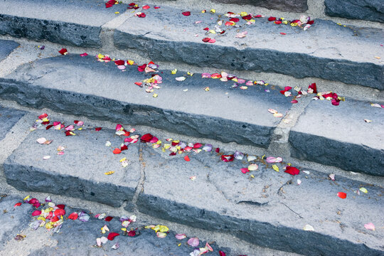 Rose leaves scattered on stone stairs