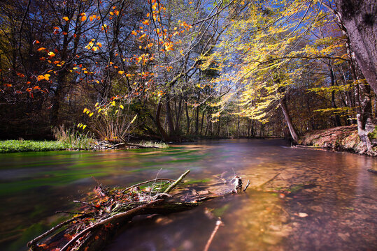 Autumn forest and river wuerm meander in Bavaria Germany