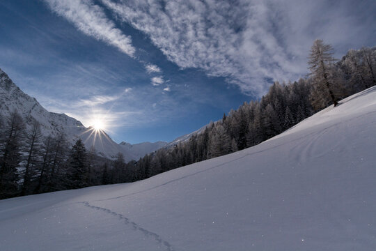 Animal tracks in fresh snowy landscape with sun rising over Val Ferret