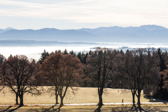 Runner on alley in Autumn at Ilkahoehe near Tutzing, Lake Starnberg