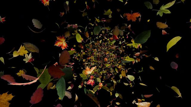 Flying through an autumn leaf tunnel animation with falling leaves and nature background motion loop