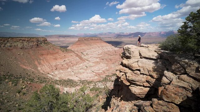 A mature woman enjoys a scenic hike on the Gander trail, taking in the amazing landscapes of Zion National Park in Utah.