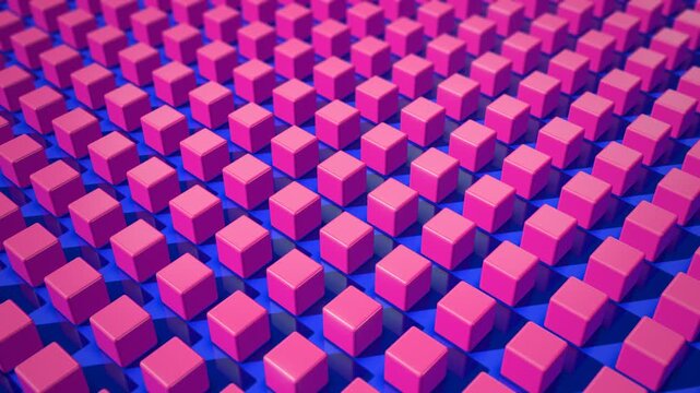 Glossy pop pink 3D cube grid rotating in choreographed rippling rows on electric blue floor