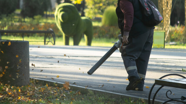 Park Cleaner Clearing Paved Walkway with Leaf Blower