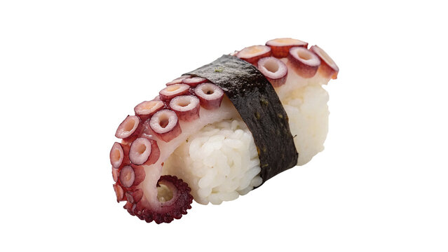 Traditional Japanese nigiri sushi topped with fresh raw octopus tako seafood isolated on transparent background.