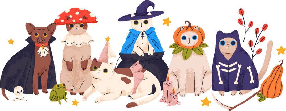 Cute Halloween cats disguised in funny costumes for holiday party. Happy Meoween, pets Helloween card with adorable amusing spooky kitties. Flat vector illustration isolated on white background.