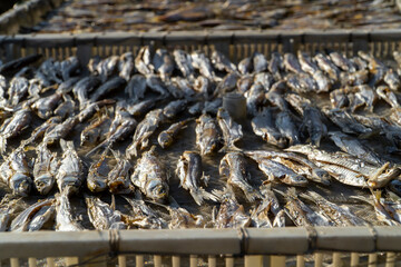 Drying fish on a bamboo rack © henvryfo