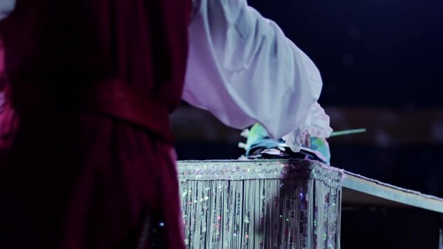 Colorful parrot performing impressive trick on sparkly stage platform under direction of trainer hand, vibrant plumage of bird, animal talent show, circus act in slow motion