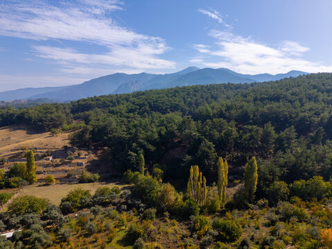 Aerial forest and mountain landscape near Kemalpasa, Turkiye