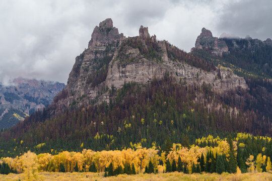Aautumn Foliage in the Rocky Mountains of Colorado. Fall foliage on a rainy day  in the Cimarron Ridge of the San Juan Mountains.
