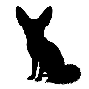 Black silhouette of a cute fennec fox sitting down with large ears and a fluffy tail for wildlife design projects