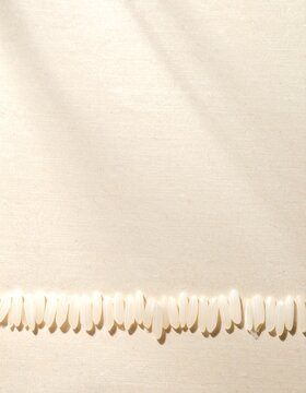 Row of white rice grains on cream handmade paper, minimal japanese overhead flat lay with copy space