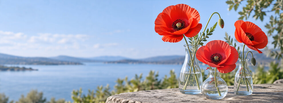 Red poppies in glass vases with copy space. Remembrance Day and Veterans Day concept banner. 11 November