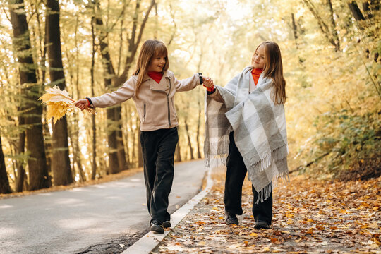 Two women walking together along a tree lined autumn path, holding hands and enjoying fallen leaves, warm sunlight, and seasonal woodland scenery