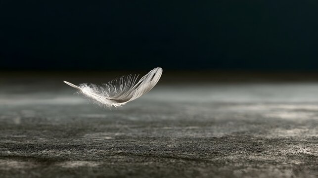 A single white feather floats gently above a textured gray surface under soft lighting  creating a minimalist and serene composition
