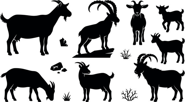 Domestic and Wild Goat Silhouette Vector Icon Set with Capra Ibex Standing on Rock, Horned Billy Goat, Nanny Goat, and KidsWeb