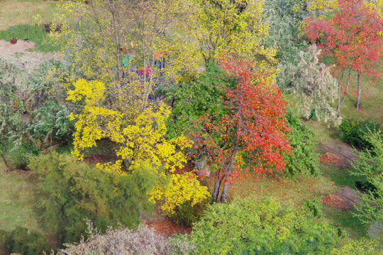 a view of trees and shrubs in a park covered in the colors of autumn
