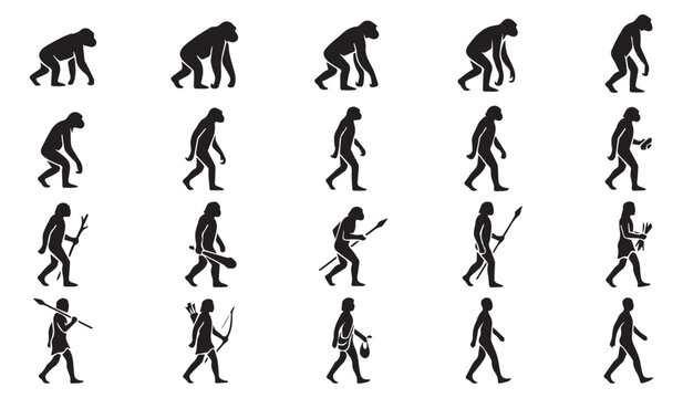 Human evolution silhouette set