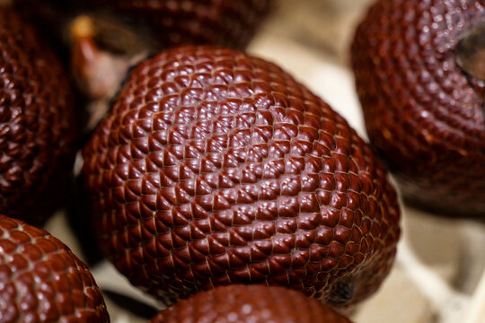 Maybe Snake Fruit (Salacca zalacca) Scaly Skin, High-Resolution Close-Up Photo