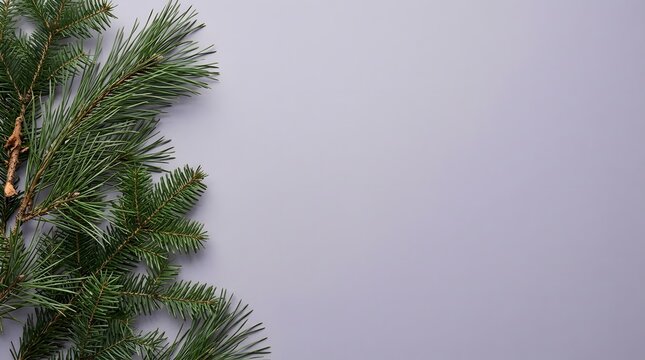 Festive christmas tree branch with ornaments against a soft gray background