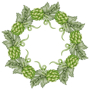 Watercolor illustration wreath of fresh hops and leaves isolated on white background. Perfect for bar, menu, pub decor, brewery, Oktoberfest festival or packaging