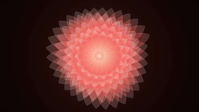 Glowing coral lotus flower animation with rotating translucent petals on dark background