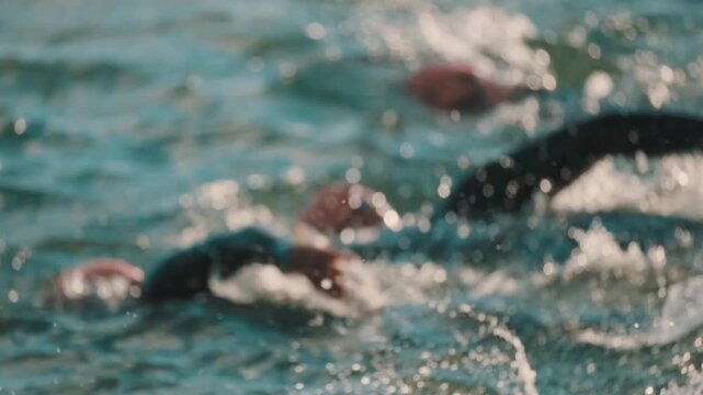 Swimmers move through open water as sunlight reflects across the surface