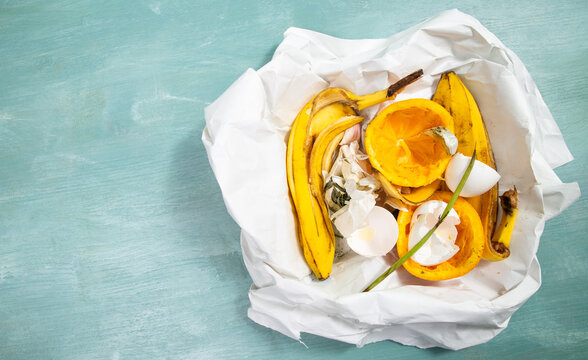Organic food waste, compost of scraps and peelings of fruits, eggshells and vegetables, zero garbage, garlic, banana, orange fruit leftovers, recycling and envirionment concept